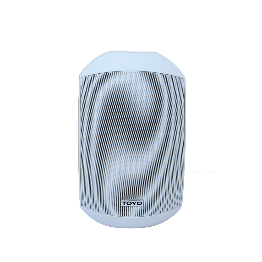 100V System - Image 1